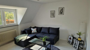 Zentrales Apartment am Bergmannsheil Kh